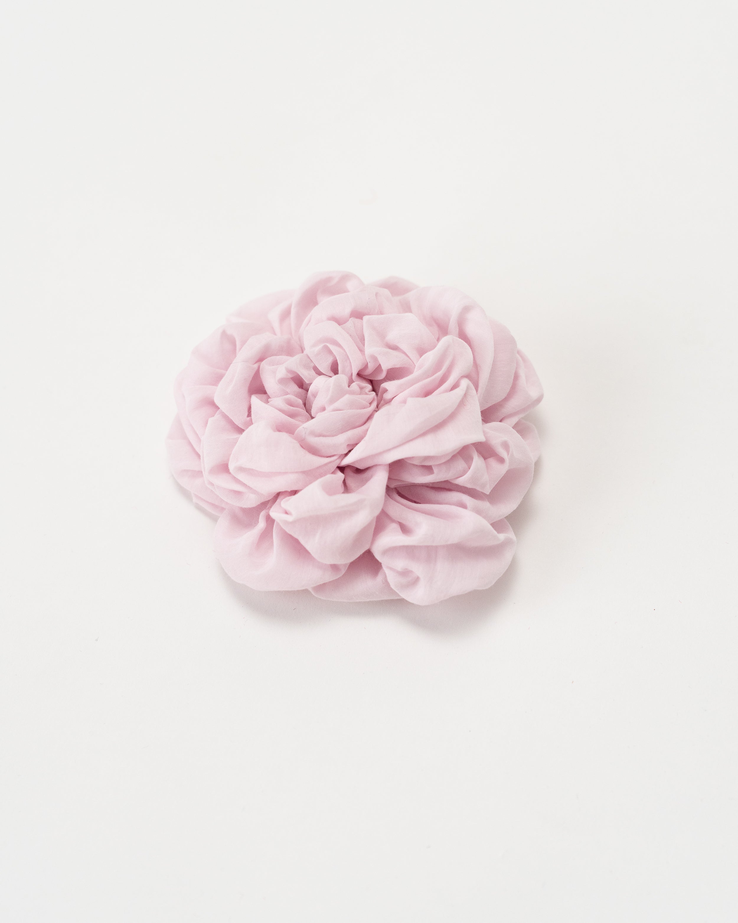Grande Peony