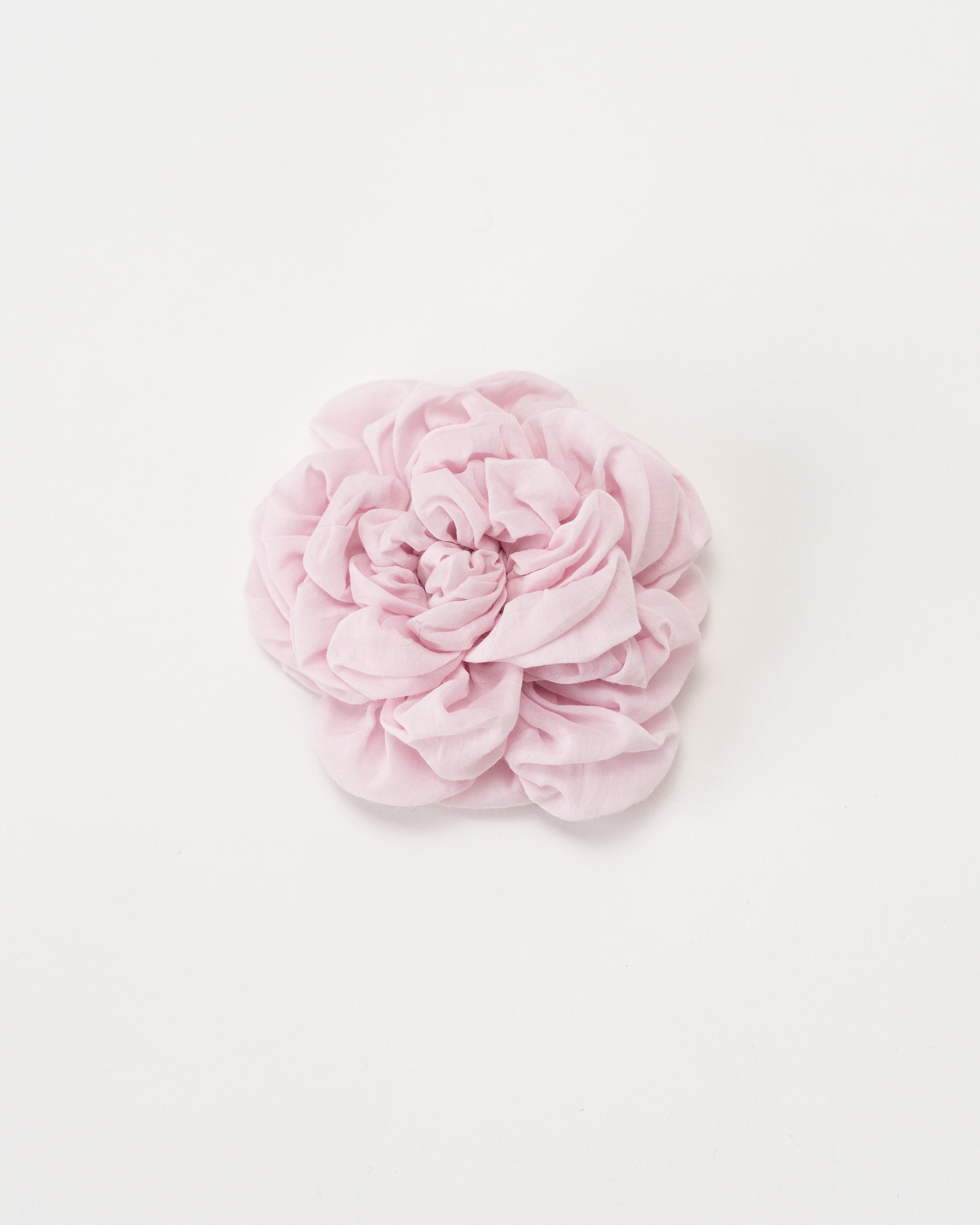 Petit Peony